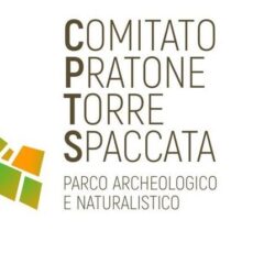 Comitato Pratone di Torre Spaccata